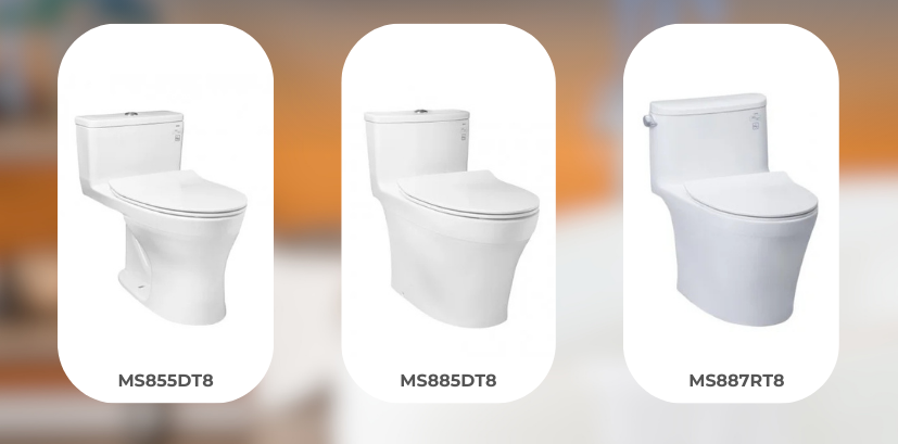 MS855DT8, MS885DT8, MS887RT8