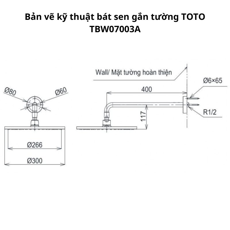 Sen tắm âm tường TOTO  TBV02406B TBW01010A TBW07003A TBW07020A #PFG Vàng Pháp Bóng